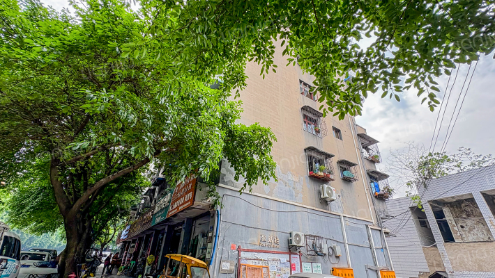 壁渝路94号外景图