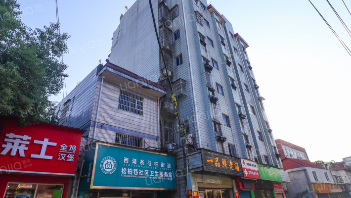 骆家花园小区外景图