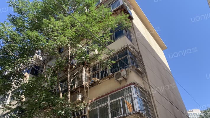 向阳胡同外景图