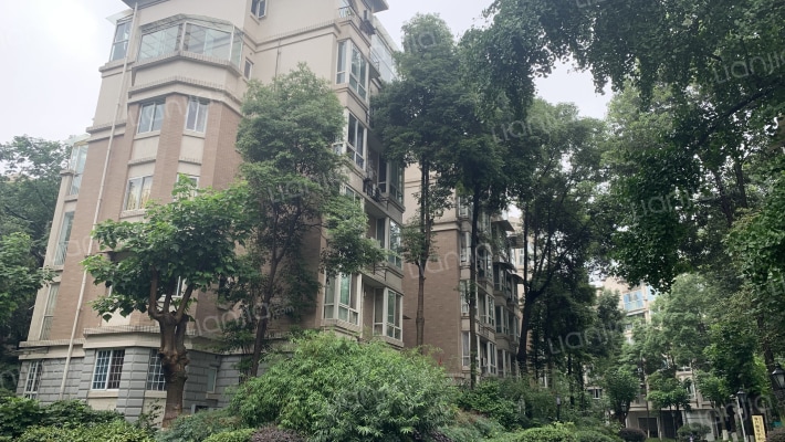 置信逸都丹郡D区外景图