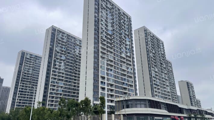 祥源城南之星外景图