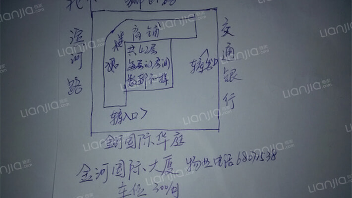 金河国际大厦外景图