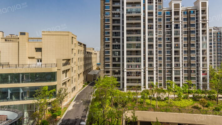 天山绿洲四期外景图