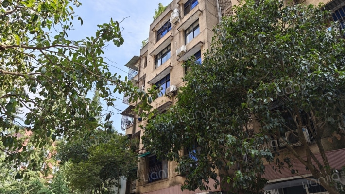 双桥街26号附2号外景图