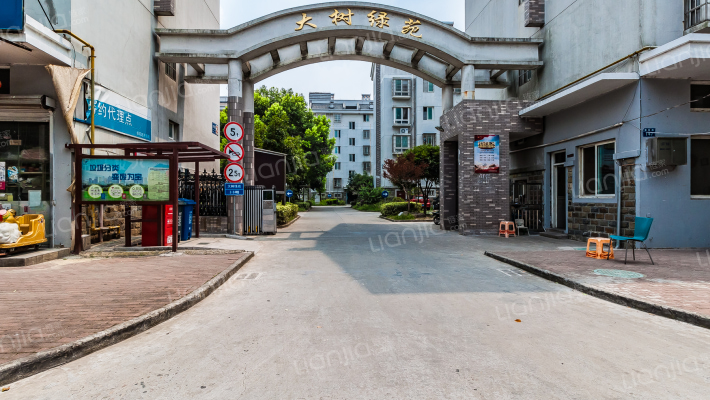 大树绿苑外景图