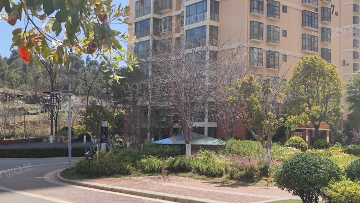 兴景逸园外景图