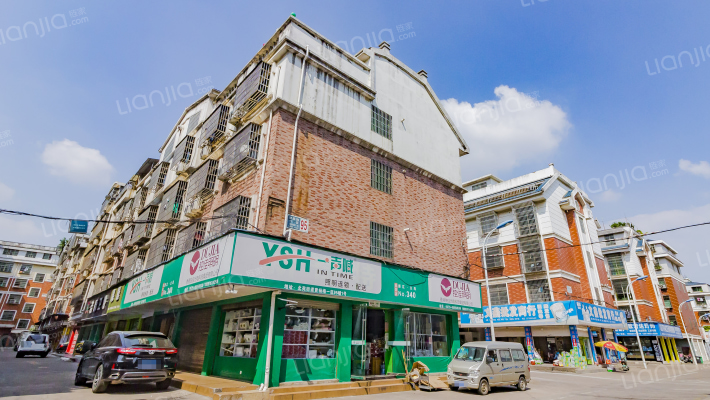 黄杨梅一区外景图