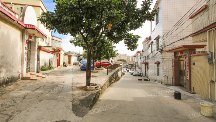 沙溪镇新路庞头外景图