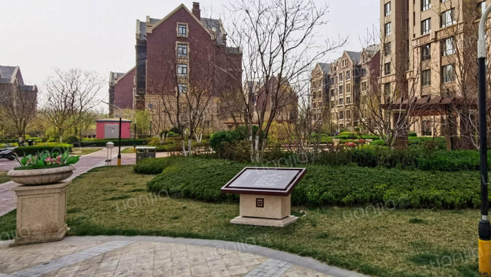 星河时代外景图