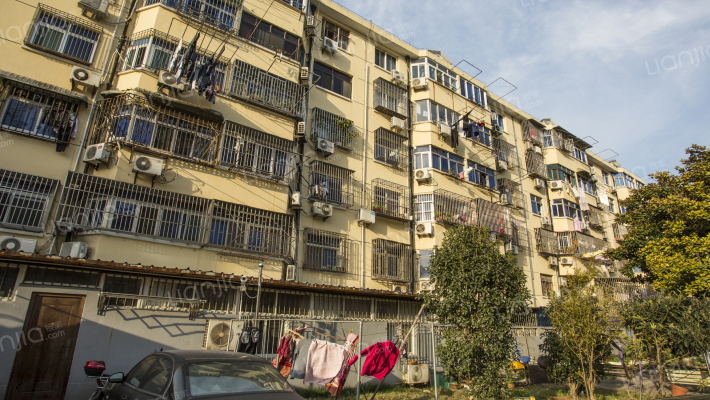 新德路558弄外景图