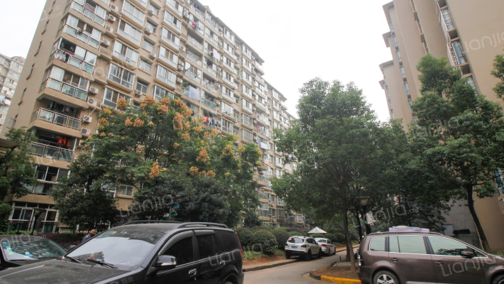 绿汀雅境外景图