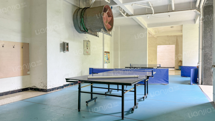 华龙金鼎外景图