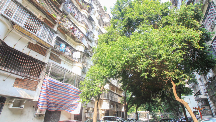 文锦渡出入境边检站外景图