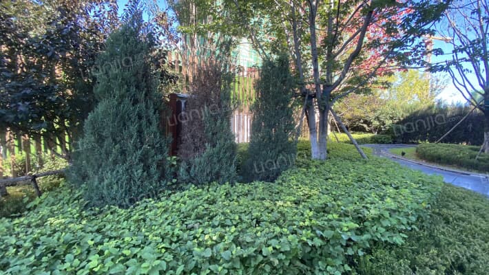 万达盛京ONE外景图