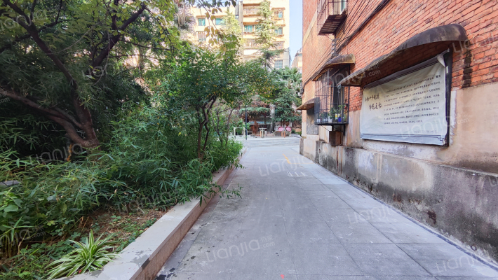 西湖巷26号外景图