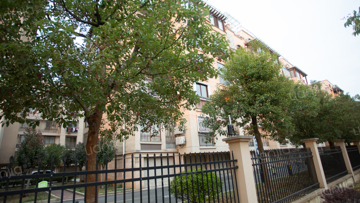 江景一品外景图