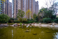 中豪汇景湾14