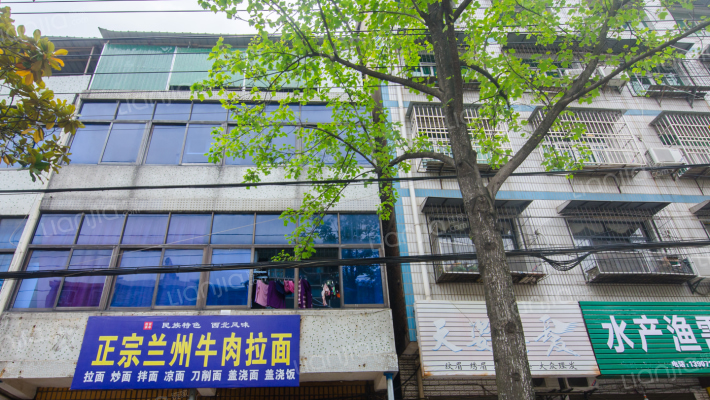 树藩大街436号外景图