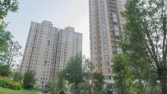 新晋美•悦都外景图