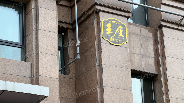 盛龙王座外景图