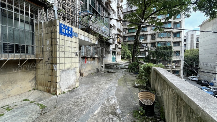 桃园路55号外景图