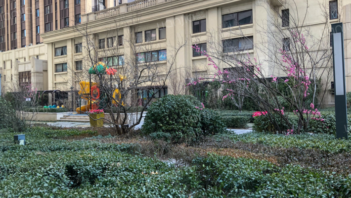 中海复兴新天地外景图