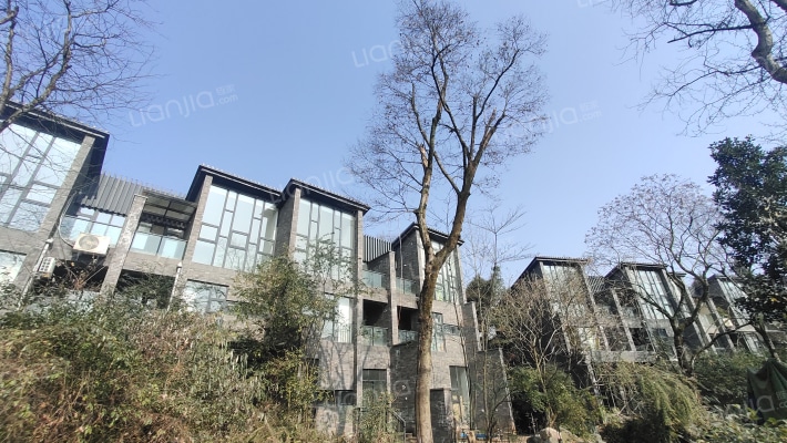 置信·芙蓉青城外景图