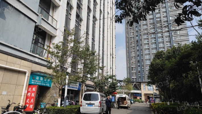 百大国际派外景图