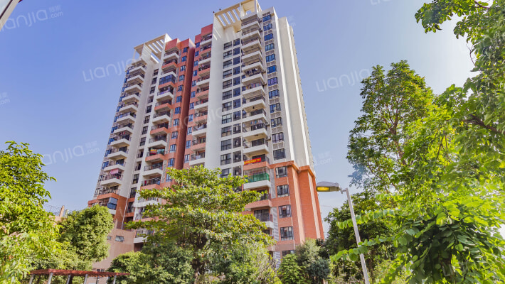 大信时尚家园二期外景图