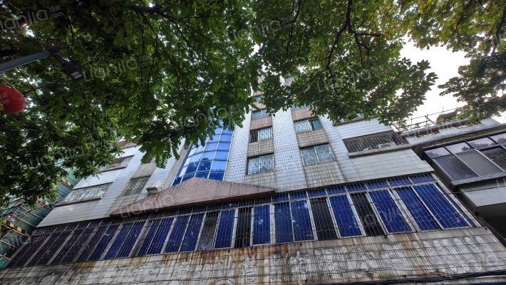 太平西路松柏里8号外景图