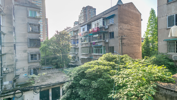 青春路54弄12号外景图