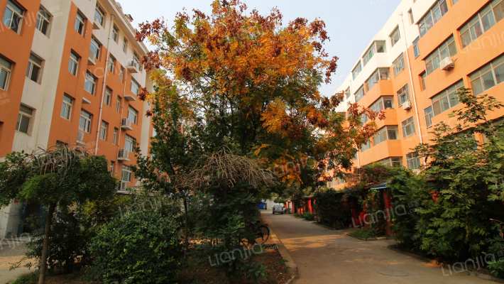 龙润花园外景图