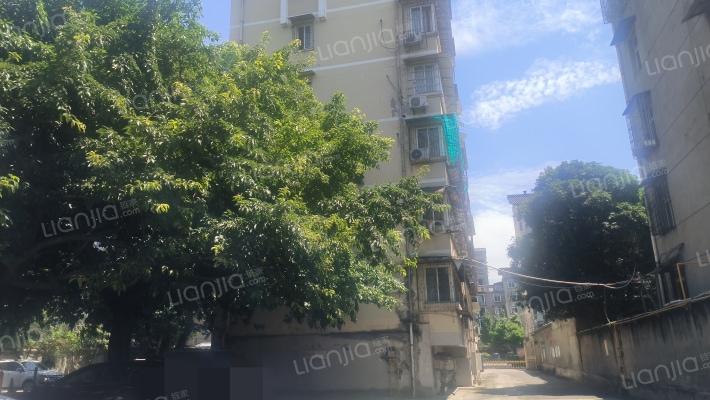 仙客来苑外景图