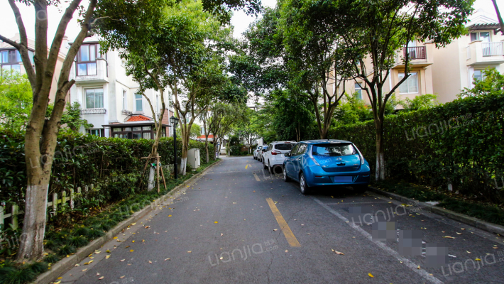月亮河碧园(别墅)外景图