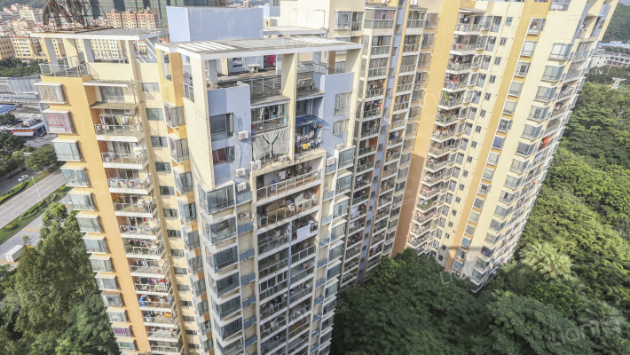 桃源居十七区外景图