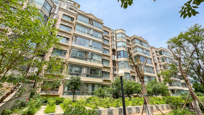 大舜天成外景图