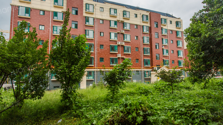 义集小区外景图