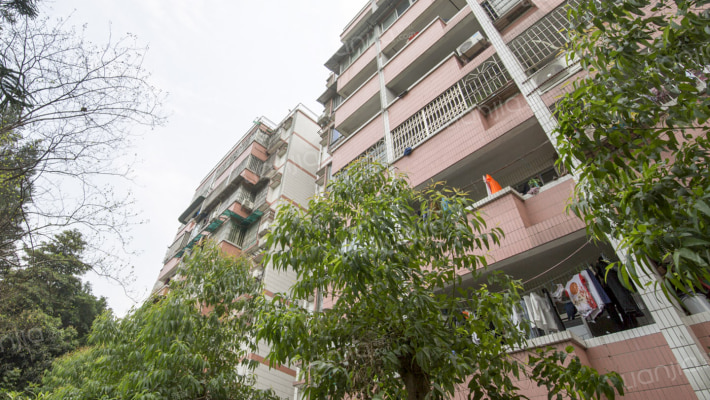 儒苑小区外景图