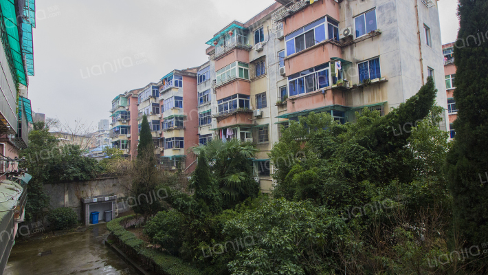 溪西三区张山邨外景图