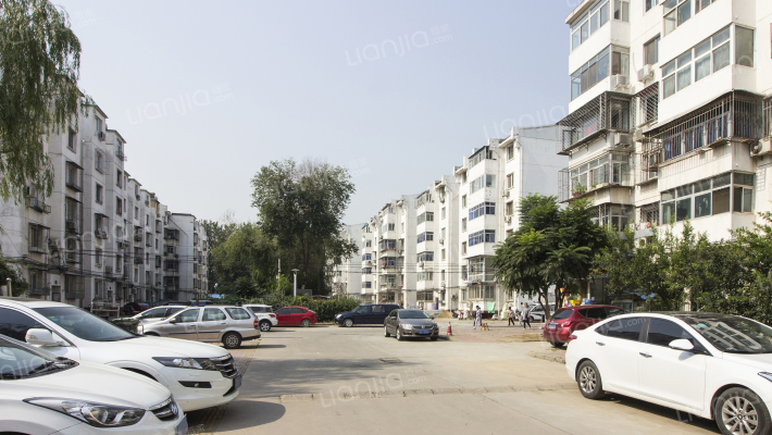 莲竹花园外景图