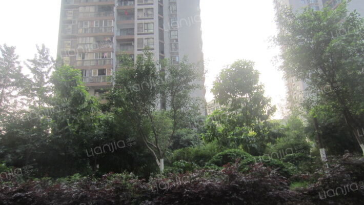 绿洲华府外景图