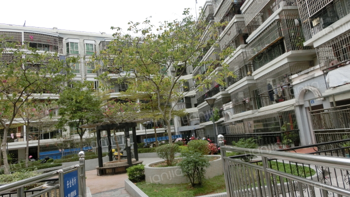 银城明珠外景图