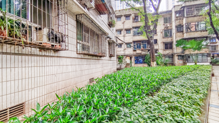 新医村社区外景图