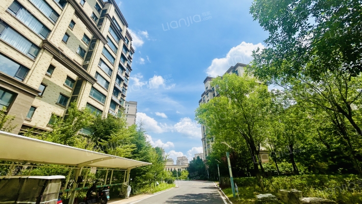 西江华府六区外景图