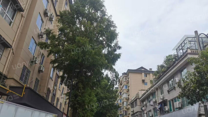 景杉路546号外景图