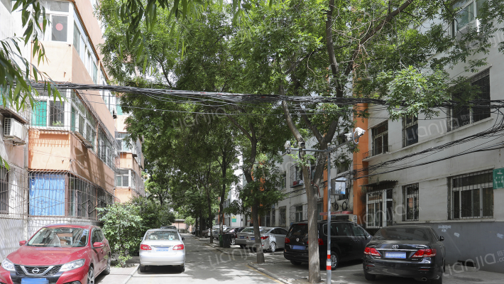 山西医科大学桃南家属院外景图