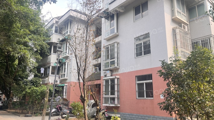 金秋乐园一期外景图