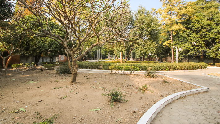 黄圃中糖生活区南区外景图