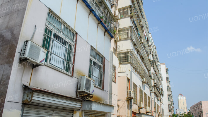 临园大顺商住楼外景图