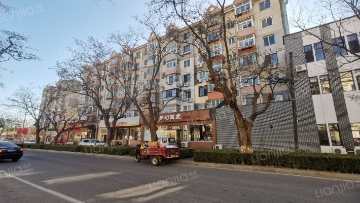 中央大街外景图